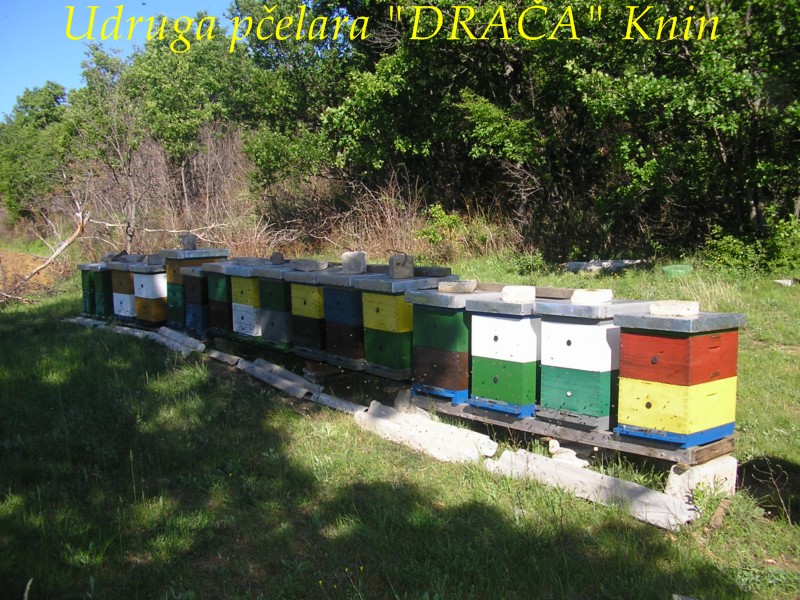 UP_Draca_Knin (4)